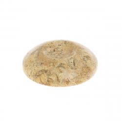Подставка под шар/яйцо из ракушечника 5х5х1 см (2) — 